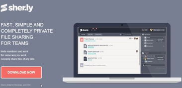 2013年11月 為網(wǎng)站設(shè)計與開發(fā)人員精選的實用工具