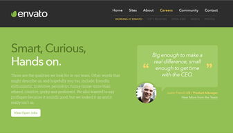 國外20個綠色系網(wǎng)站設(shè)計欣賞 環(huán)保與美學(xué)的完美融合