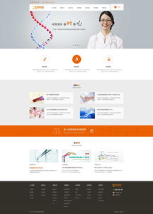網博思創 網思中國高端網站定制案例解析，引領北京網站設計與開發新趨勢